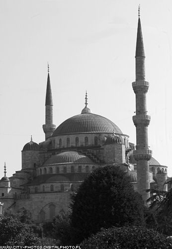 Black and white photography-Blue Mosque 