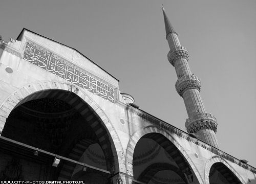 Blue Mosque black and white photo 