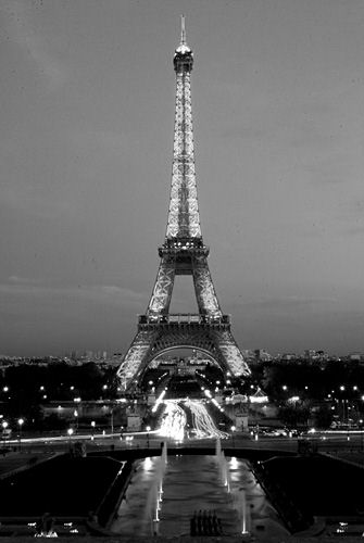 Eiffel Tower by night (black and white 