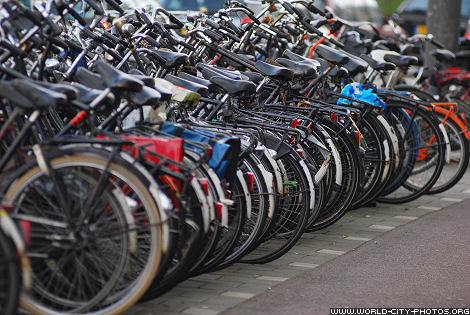 Amsterdam city of bikes 