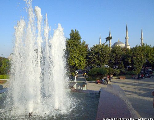 Blue Mosque / Sultan Ahmed Mosque with the fountain 