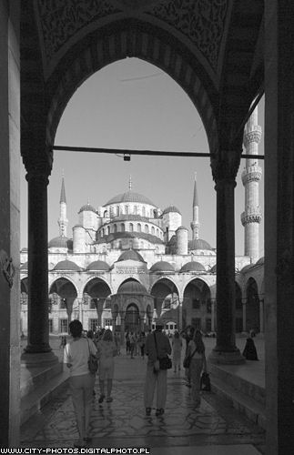Blue Mosque black and white 