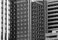 High rises in Paris - black and white images 