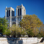 Paris - Notre Dame Cathedral 